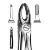 DENTAL FORCEPS ENGLISH PATTERN FIG#3 11-001-003
