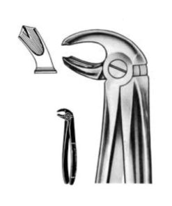 DENTAL FORCEPS ENGLISH PATTERN FIG#24 11-024-000