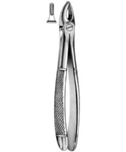 DENTAL FORCEPS ENGLISH PATTERN FIG#29S 11-029-001