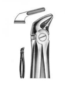 DENTAL FORCEPS ENGLISH PATTERN FIG#31 11-031-000