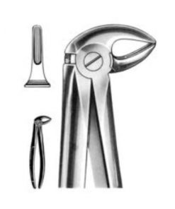 DENTAL FORCEPS ENGLISH PATTERN FIG#33 11-033-000