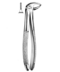 DENTAL FORCEPS ENGLISH PATTERN FIG#33A 11-033-001