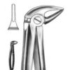DENTAL FORCEPS ENGLISH PATTERN FIG#33L 11-033-003