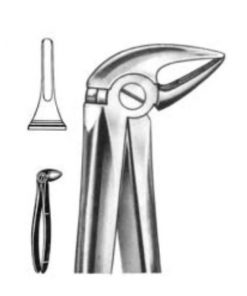 DENTAL FORCEPS ENGLISH PATTERN FIG#33L 11-033-003