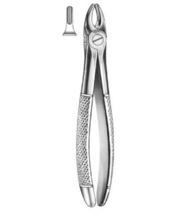DENTAL FORCEPS ENGLISH PATTERN FIG#37 11-037-000