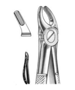 DENTAL FORCEPS ENGLISH PATTERN FIG#39 11-039-000