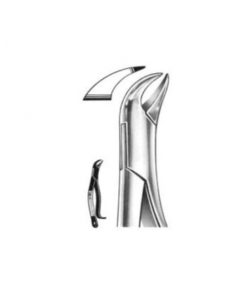 DENTAL FORCEPS AMERICAN PATTERN FIG# 16 13-016-000