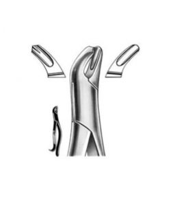 DENTAL FORCEPS AMERICAN PATTERN FIG# 18R 13-018-002