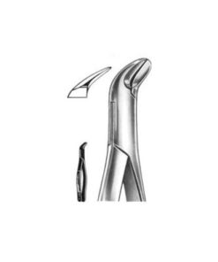 DENTAL FORCEPS AMERICAN PATTERN FIG# 6 13-006-000